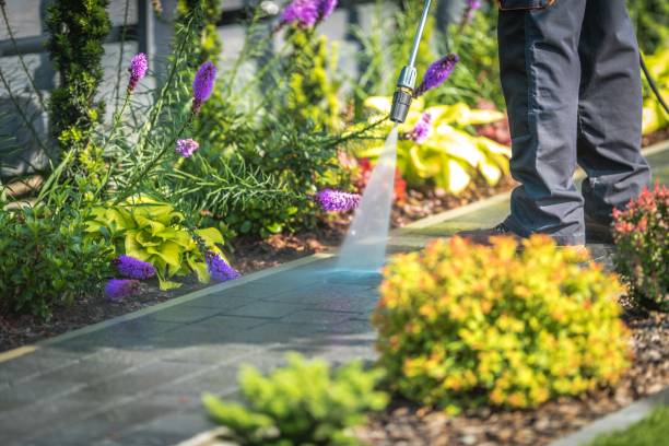 Best House Exterior Washing  in Hampton Manor, NY