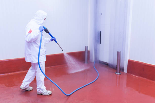 Best Spring Cleaning  in Hampton Manor, NY